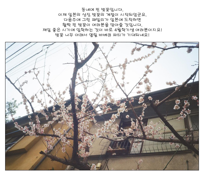 [�Ϻ���] ���׿� �� ����